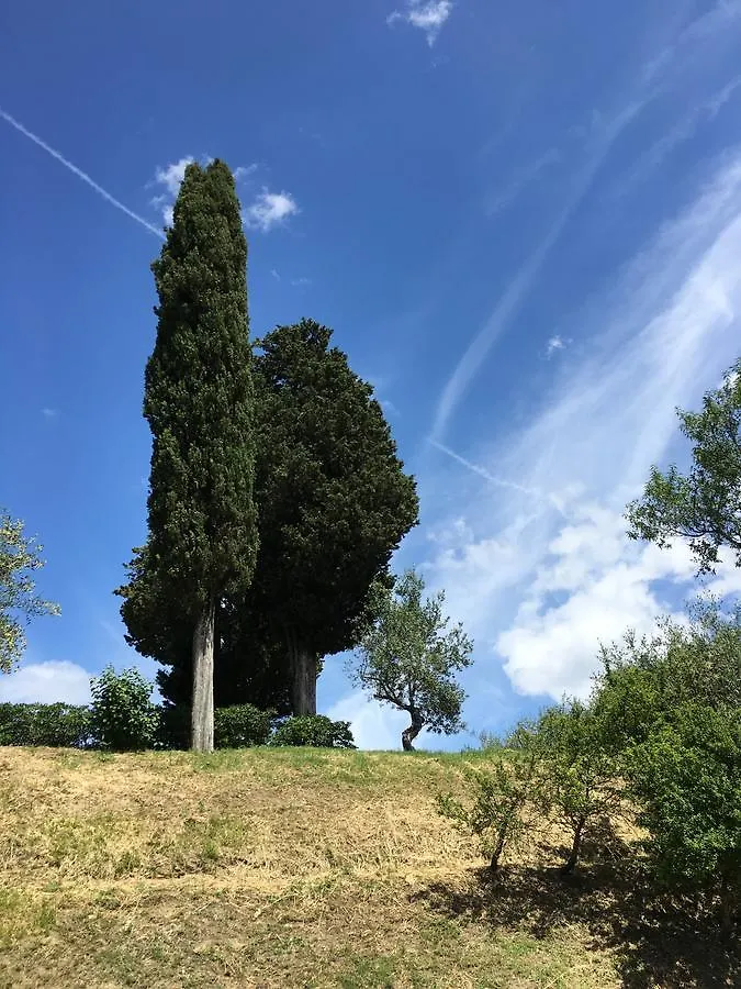 Albergo Le Sorgenti Chianciano Terme 3*,  Italy